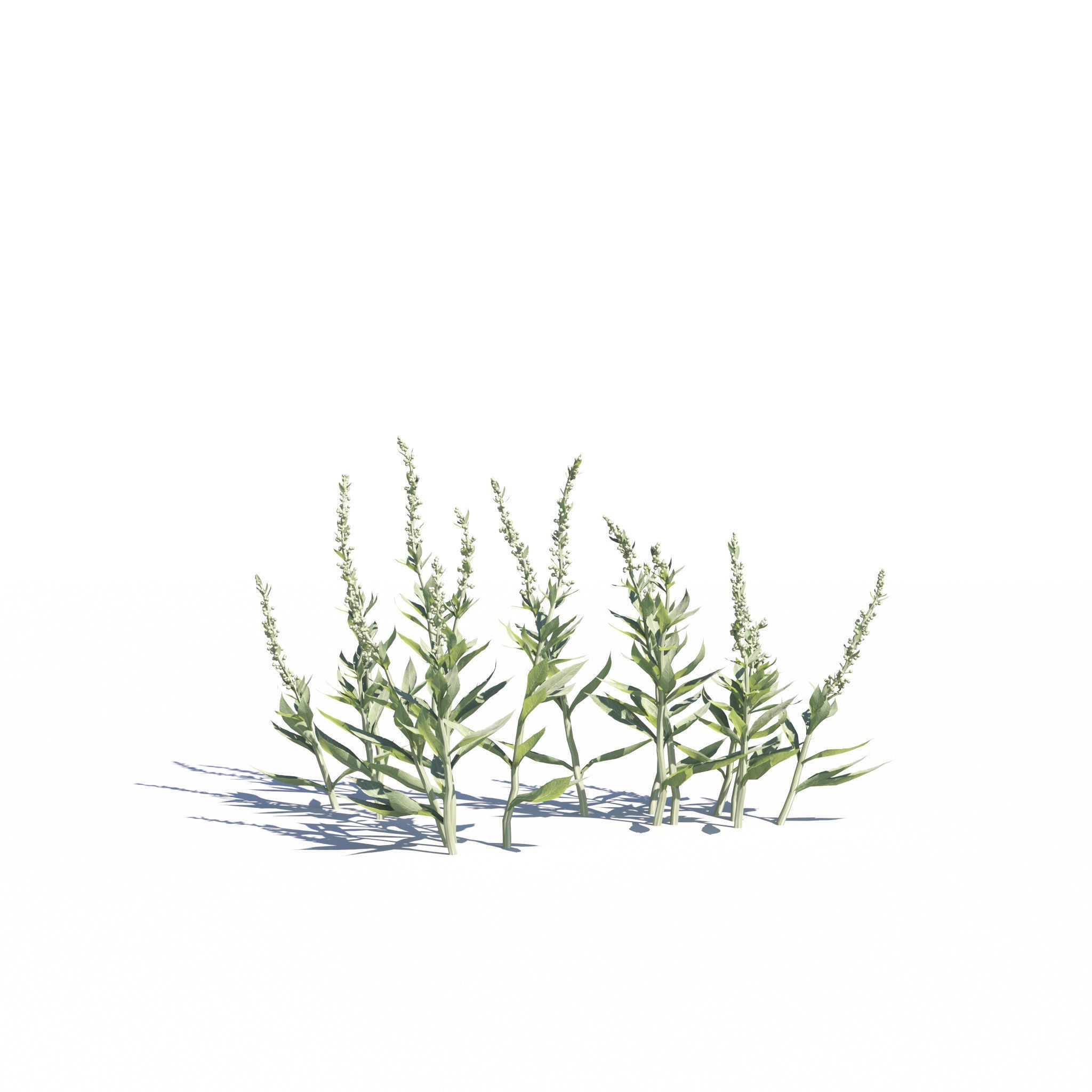 Garden Plants Collection - Game-Ready 3D Model - View 9