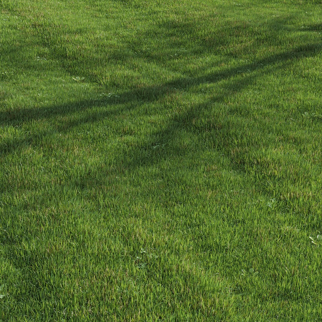 Green Lawn 3D Model – Realistic Grass Asset for V-Ray and Corona