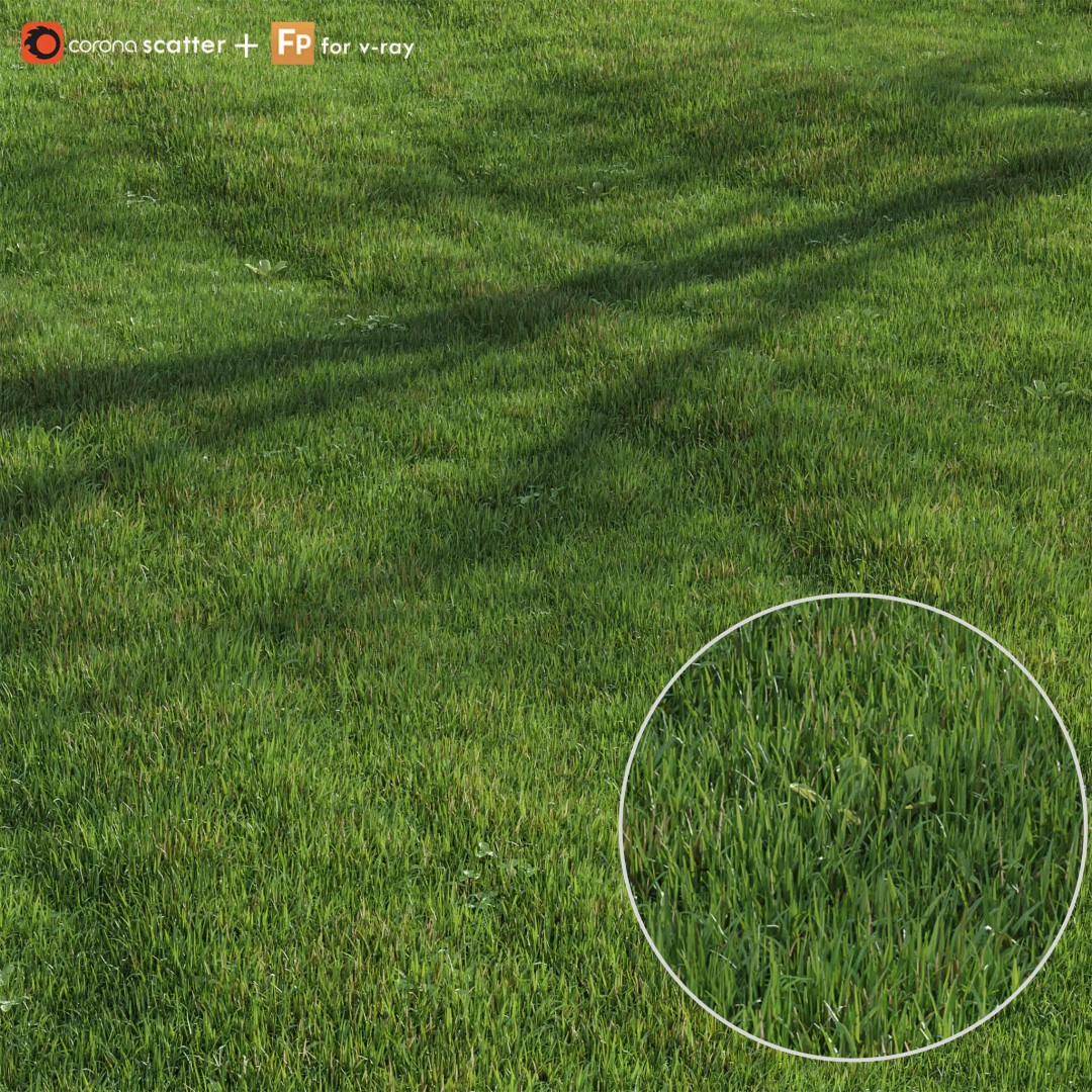 Green Lawn 3D Model – Realistic Grass Asset for V-Ray and Corona - View 2