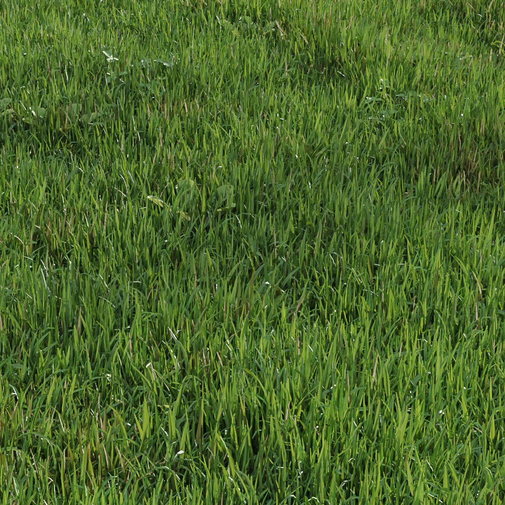 Green Lawn 3D Model – Realistic Grass Asset for V-Ray and Corona - View 3