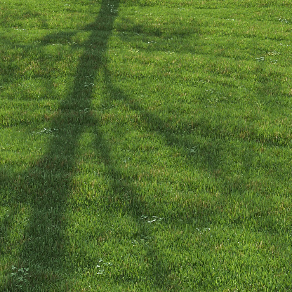 Green Lawn 3D Model – Realistic Grass Asset for V-Ray and Corona - View 4