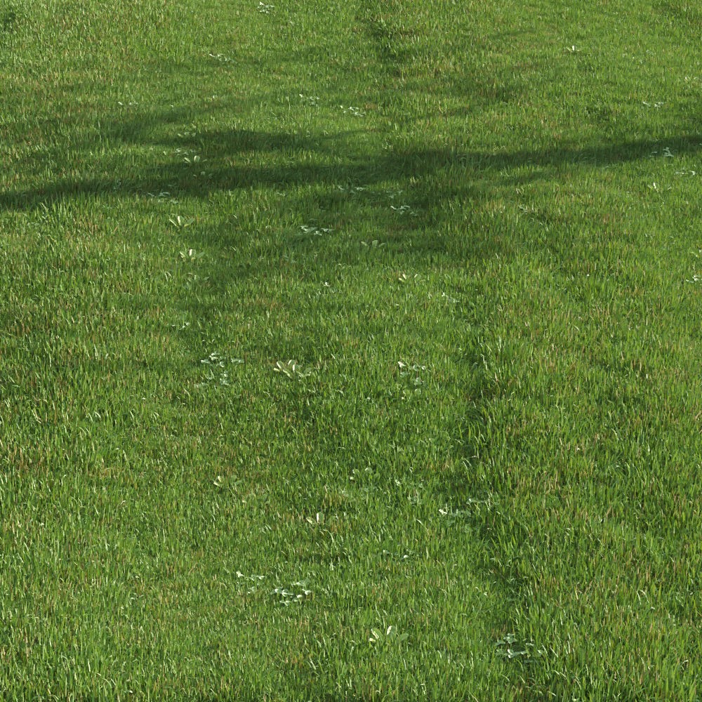 Green Lawn 3D Model – Realistic Grass Asset for V-Ray and Corona - View 5
