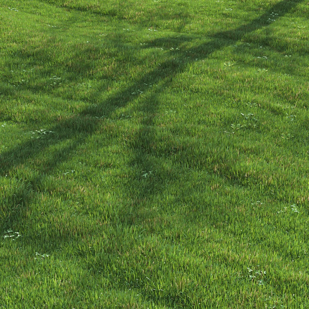 Green Lawn 3D Model – Realistic Grass Asset for V-Ray and Corona - View 6