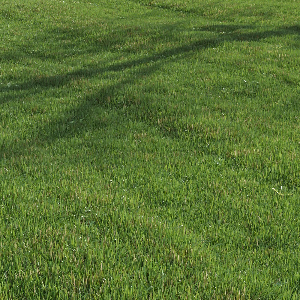 Green Lawn 3D Model – Realistic Grass Asset for V-Ray and Corona - View 8