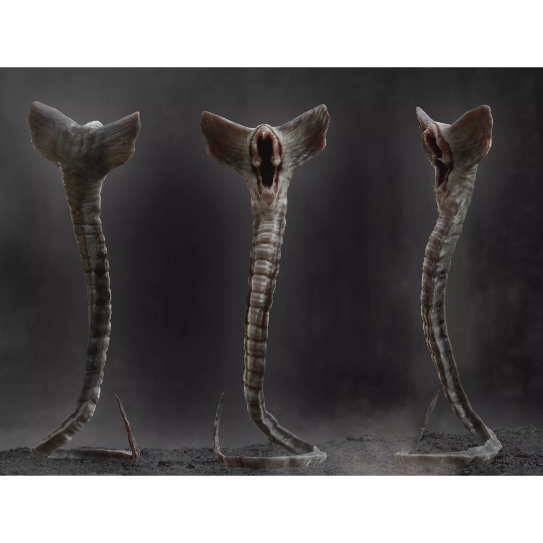 Hammerpede 3D Model – Low Poly Sci-Fi Character, Rigged, PBR - View 2