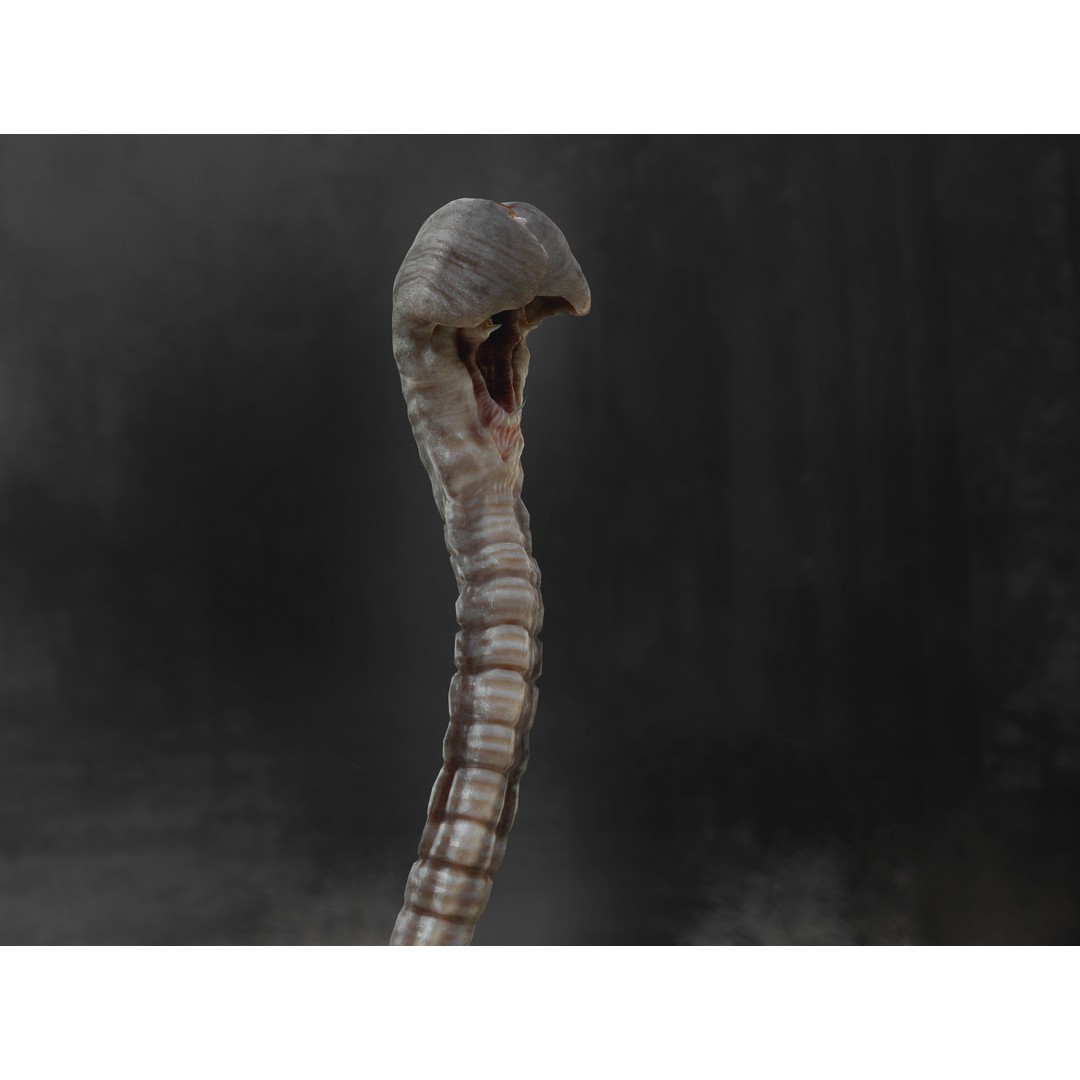 Hammerpede 3D Model – Low Poly Sci-Fi Character, Rigged, PBR - View 9