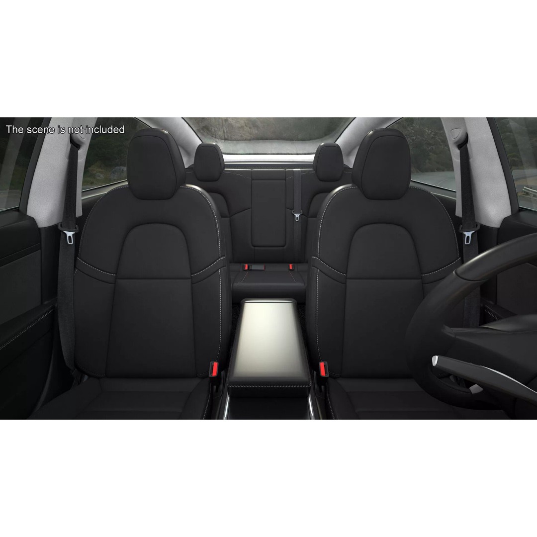 Tesla Model 3 3D Model – Carbon Fiber Sport Package, Rigged - View 9