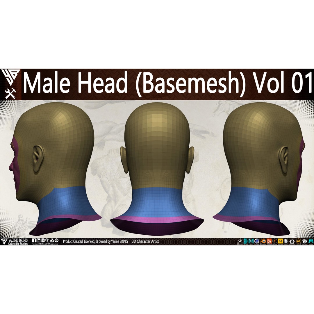 Male Head 3D Model – Low Poly Character Basemesh for Games - View 10