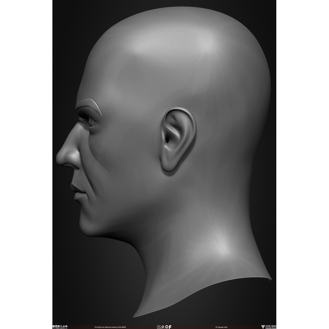 Male Head 3D Model – Low Poly Character Basemesh for Games - View 15