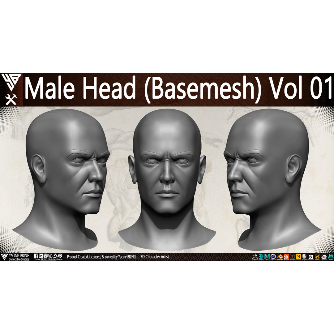 Male Head 3D Model – Low Poly Character Basemesh for Games - View 3