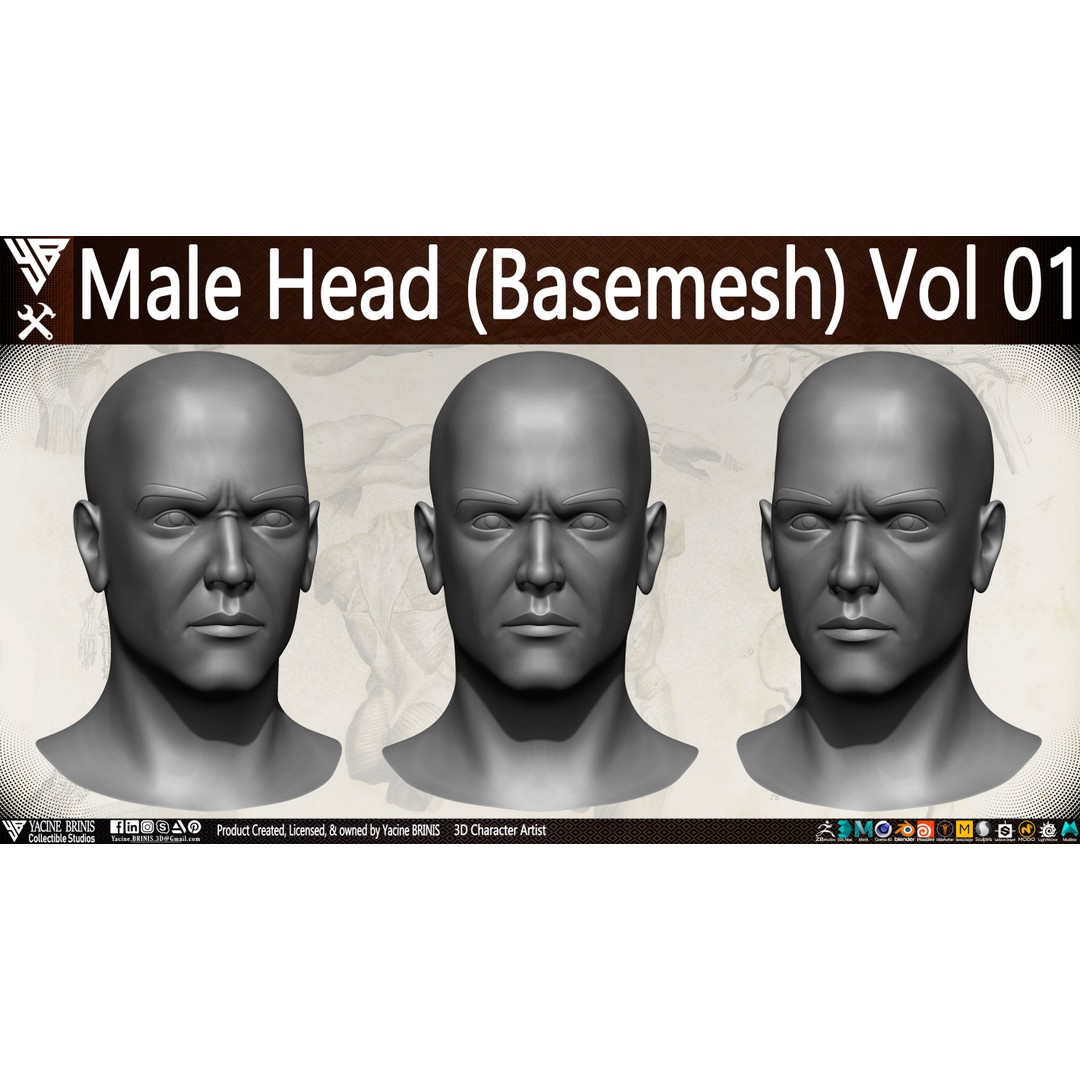 Male Head 3D Model – Low Poly Character Basemesh for Games - View 4
