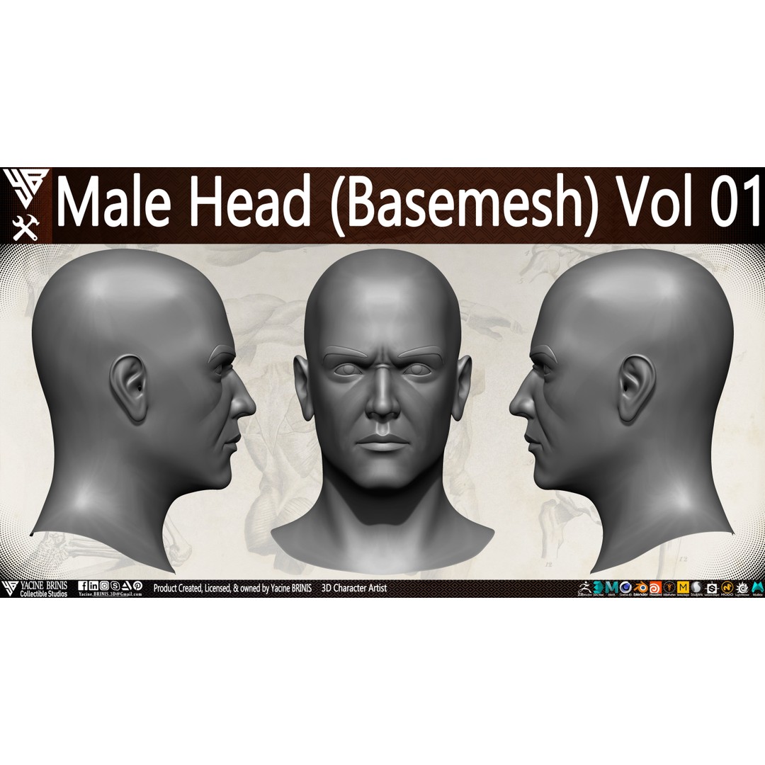 Male Head 3D Model – Low Poly Character Basemesh for Games - View 5