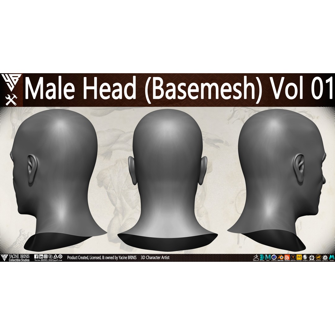 Male Head 3D Model – Low Poly Character Basemesh for Games - View 6