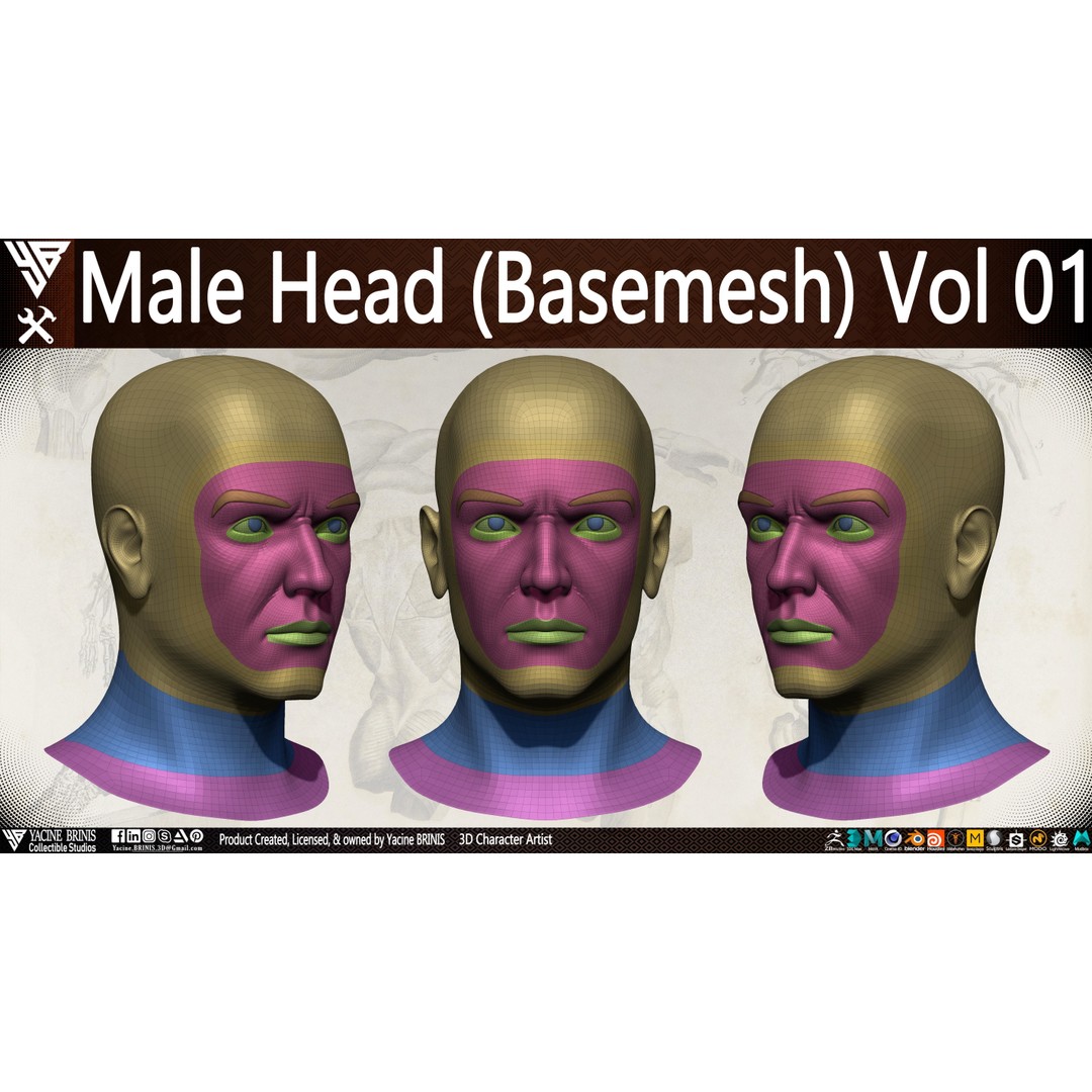 Male Head 3D Model – Low Poly Character Basemesh for Games - View 7