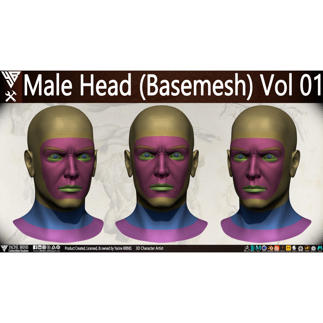 Male Head 3D Model – Low Poly Character Basemesh for Games - View 8