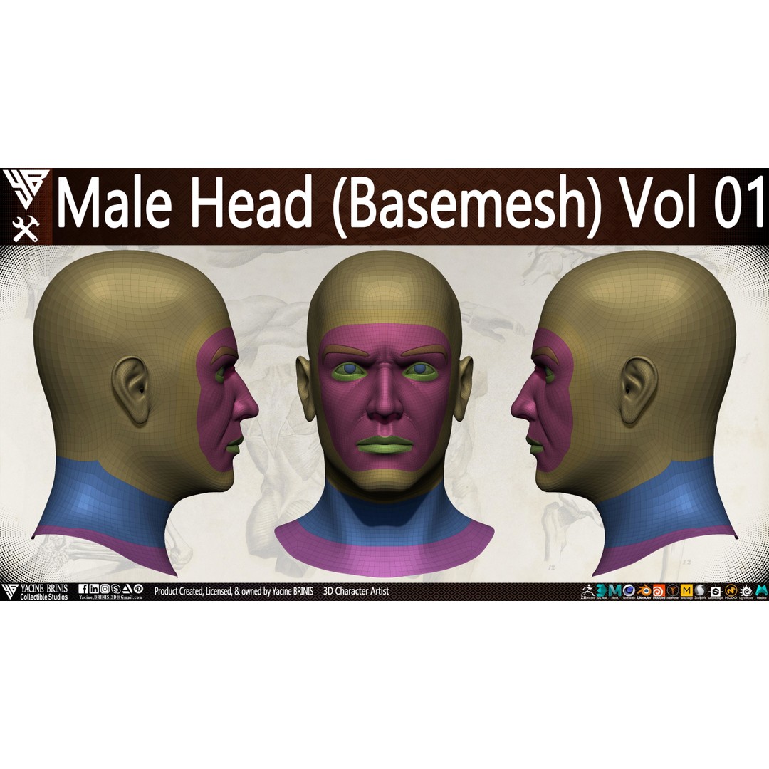 Male Head 3D Model – Low Poly Character Basemesh for Games - View 9