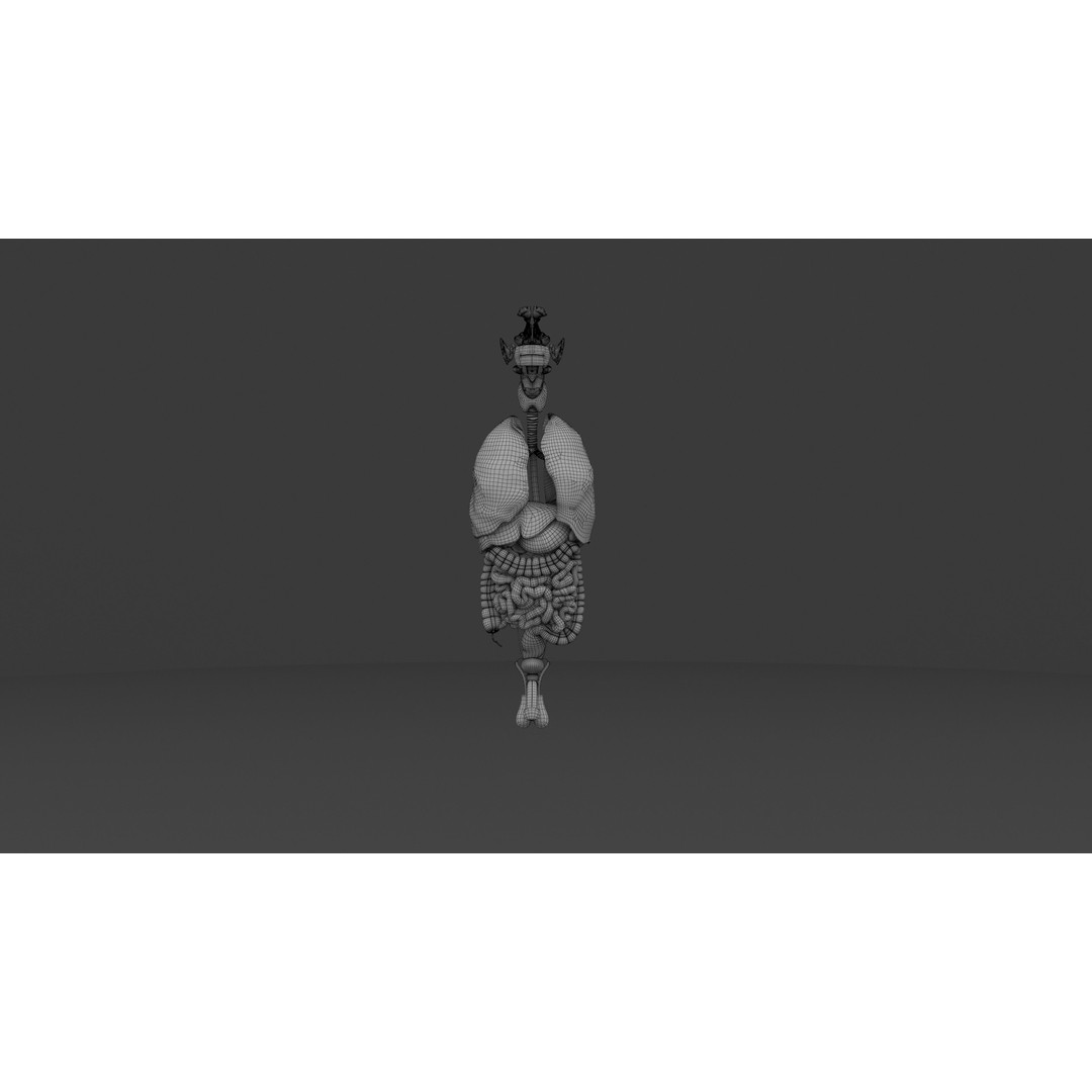 Complete Male and Female Anatomical System 3D Model – Medical Education Asset - View 32