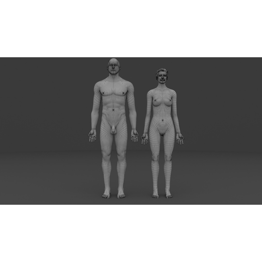 Complete Male and Female Anatomical System 3D Model – Medical Education Asset - View 6