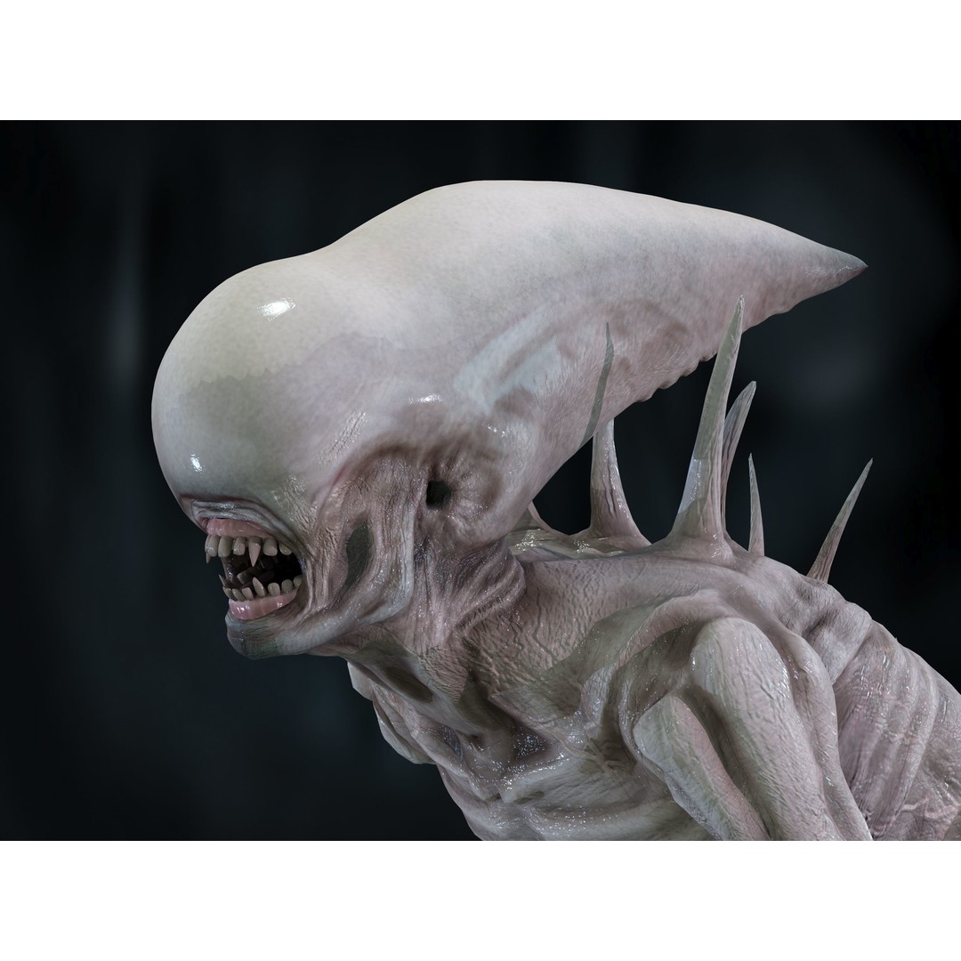 Neomorph 3D Model – Low Poly Rigged Character with PBR Textures - View 11