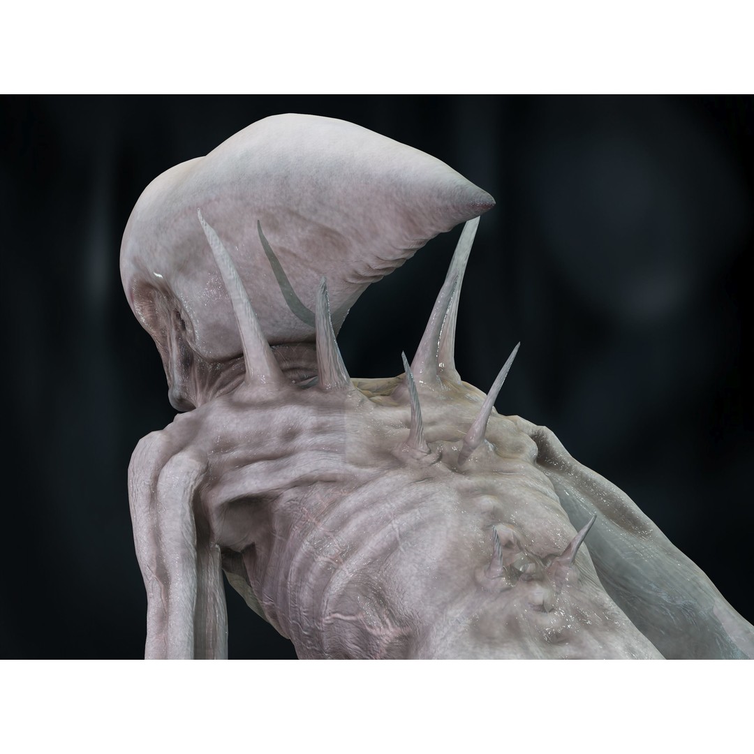 Neomorph 3D Model – Low Poly Rigged Character with PBR Textures - View 12