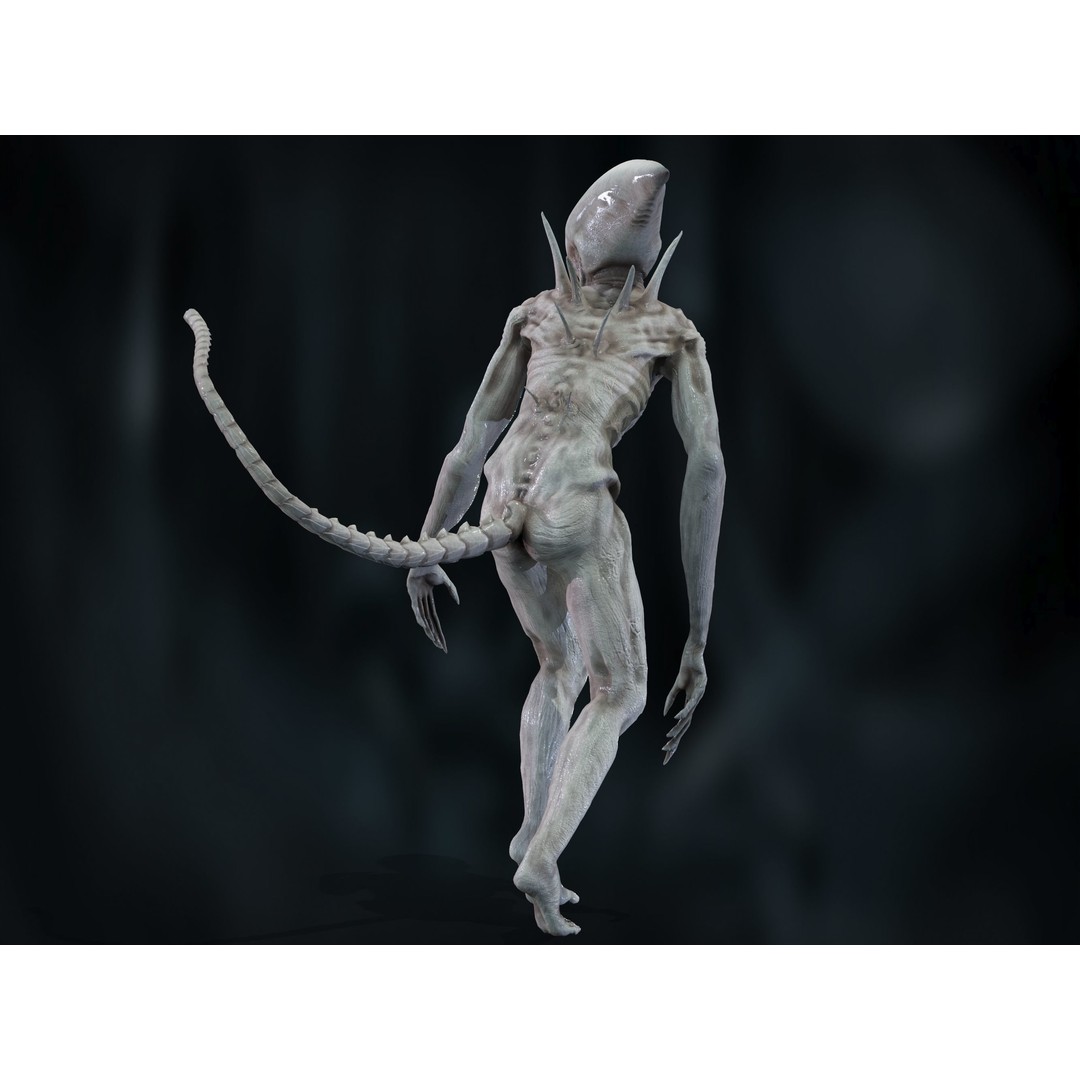 Neomorph 3D Model – Low Poly Rigged Character with PBR Textures - View 13