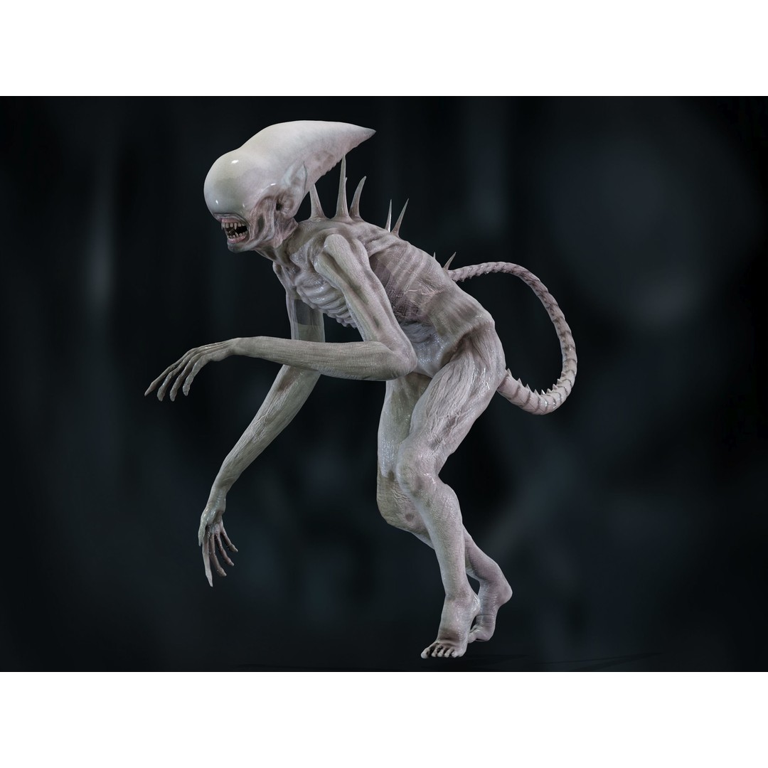 Neomorph 3D Model – Low Poly Rigged Character with PBR Textures - View 14