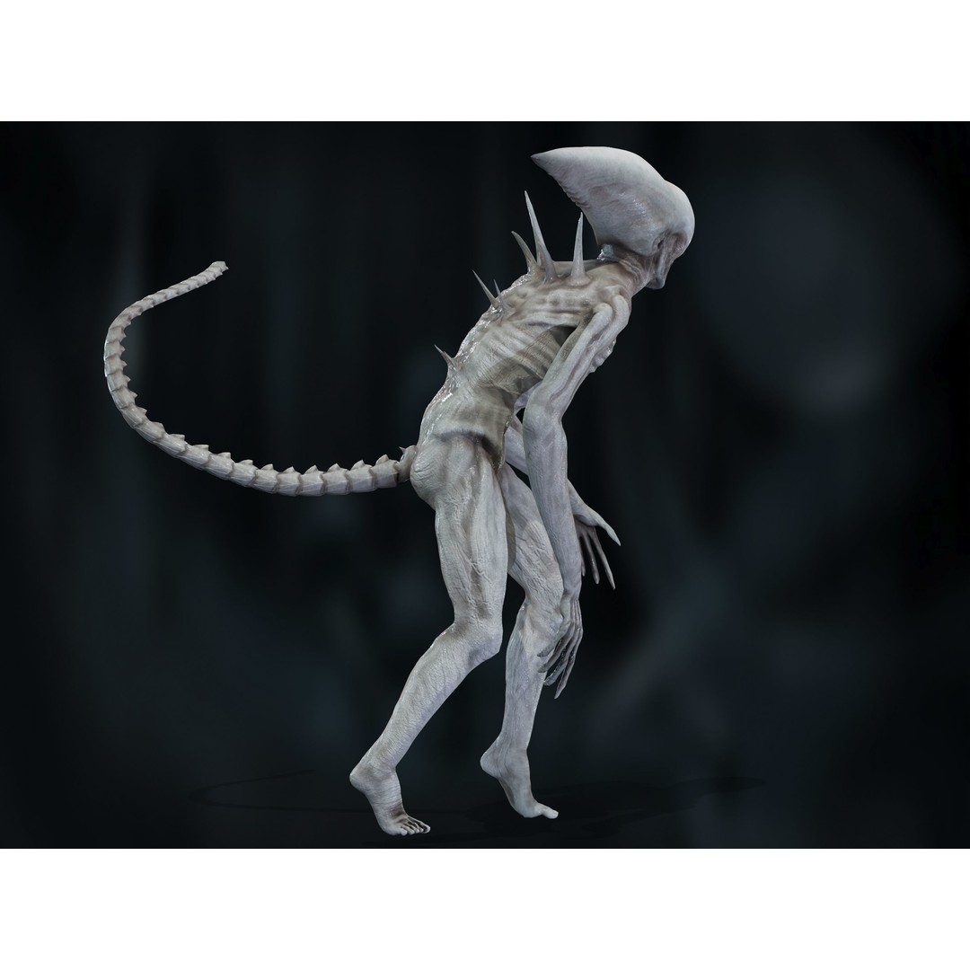 Neomorph 3D Model – Low Poly Rigged Character with PBR Textures - View 15