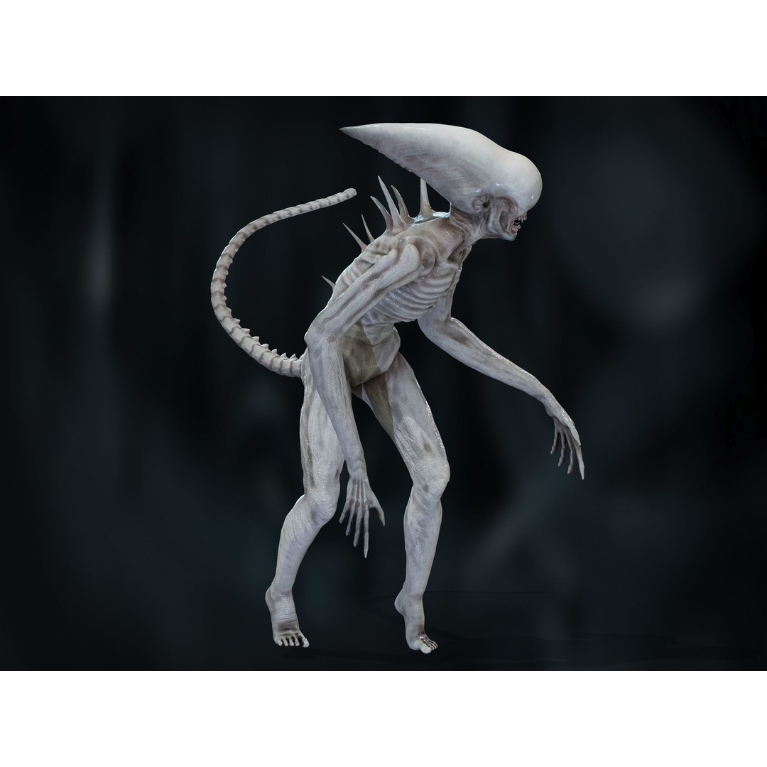 Neomorph 3D Model – Low Poly Rigged Character with PBR Textures - View 16