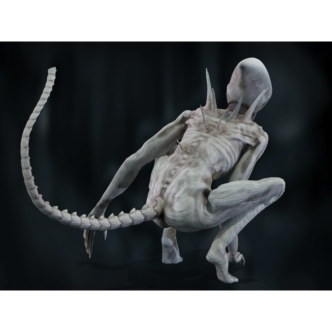 Neomorph 3D Model – Low Poly Rigged Character with PBR Textures - View 17