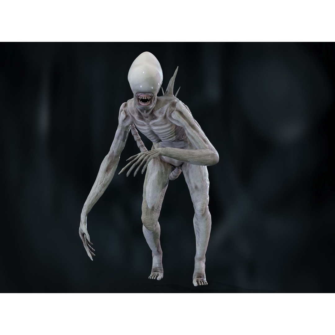 Neomorph 3D Model – Low Poly Rigged Character with PBR Textures - View 18
