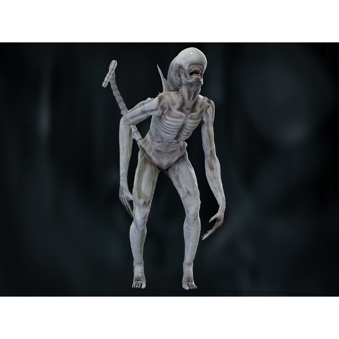 Neomorph 3D Model – Low Poly Rigged Character with PBR Textures - View 19