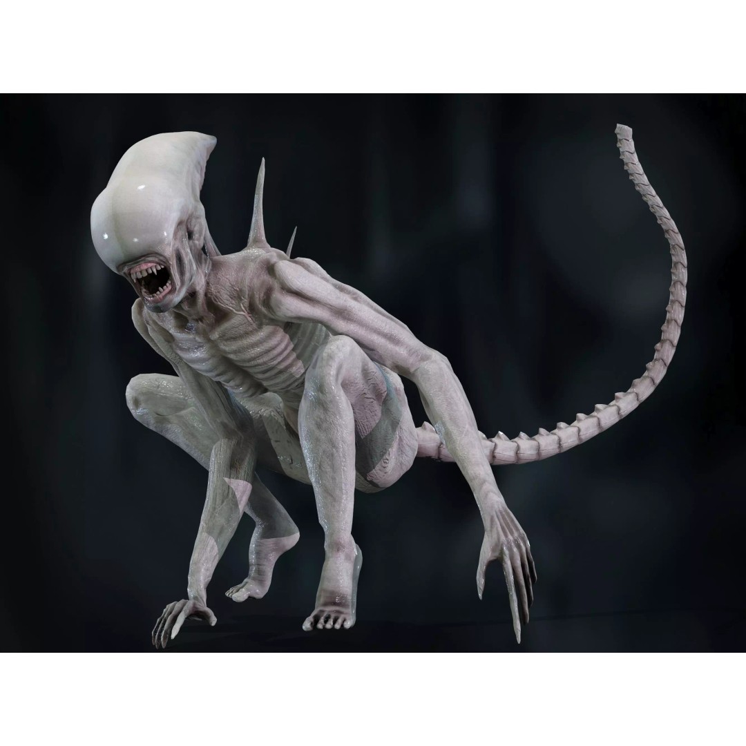 Neomorph 3D Model – Low Poly Rigged Character with PBR Textures - View 2