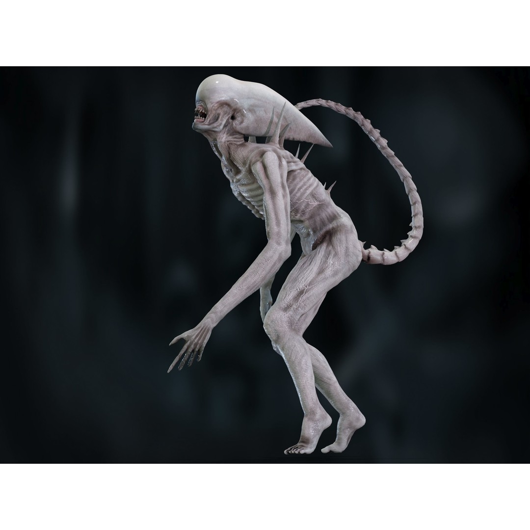 Neomorph 3D Model – Low Poly Rigged Character with PBR Textures - View 20