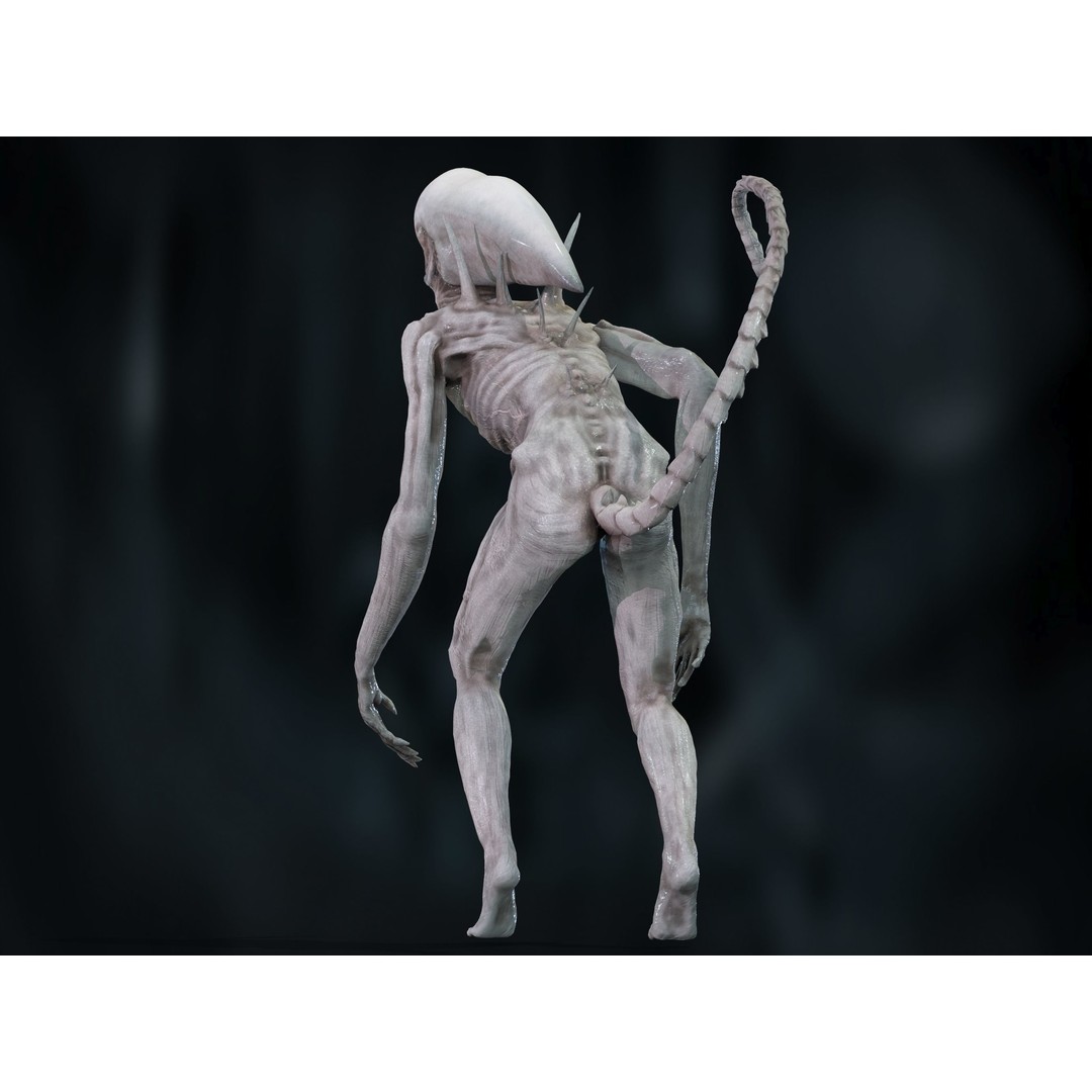 Neomorph 3D Model – Low Poly Rigged Character with PBR Textures - View 21