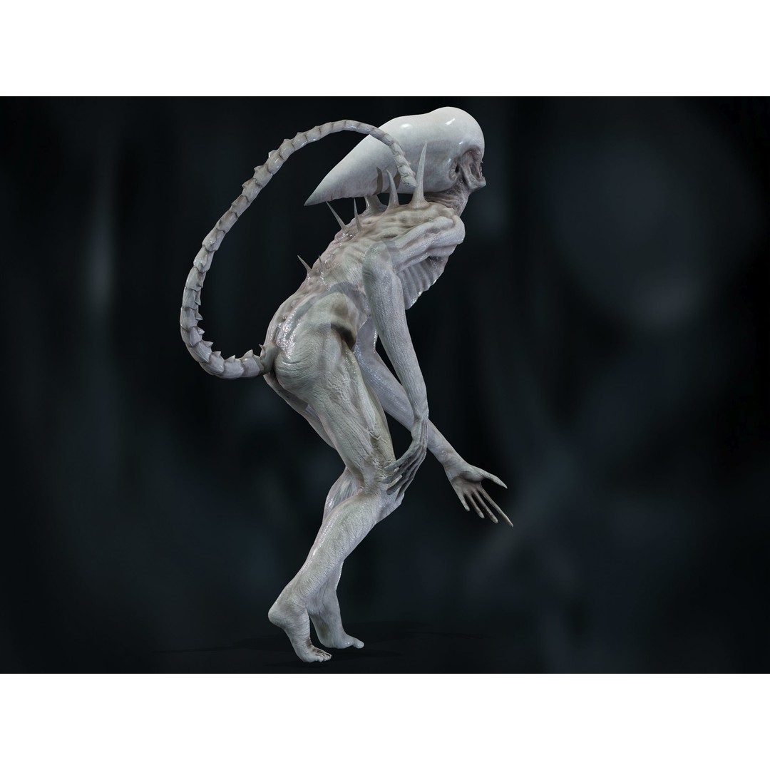 Neomorph 3D Model – Low Poly Rigged Character with PBR Textures - View 22