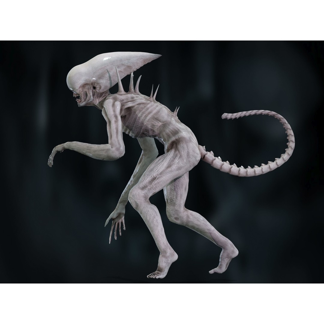 Neomorph 3D Model – Low Poly Rigged Character with PBR Textures - View 23