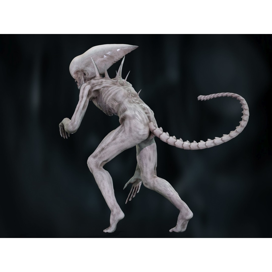 Neomorph 3D Model – Low Poly Rigged Character with PBR Textures - View 24