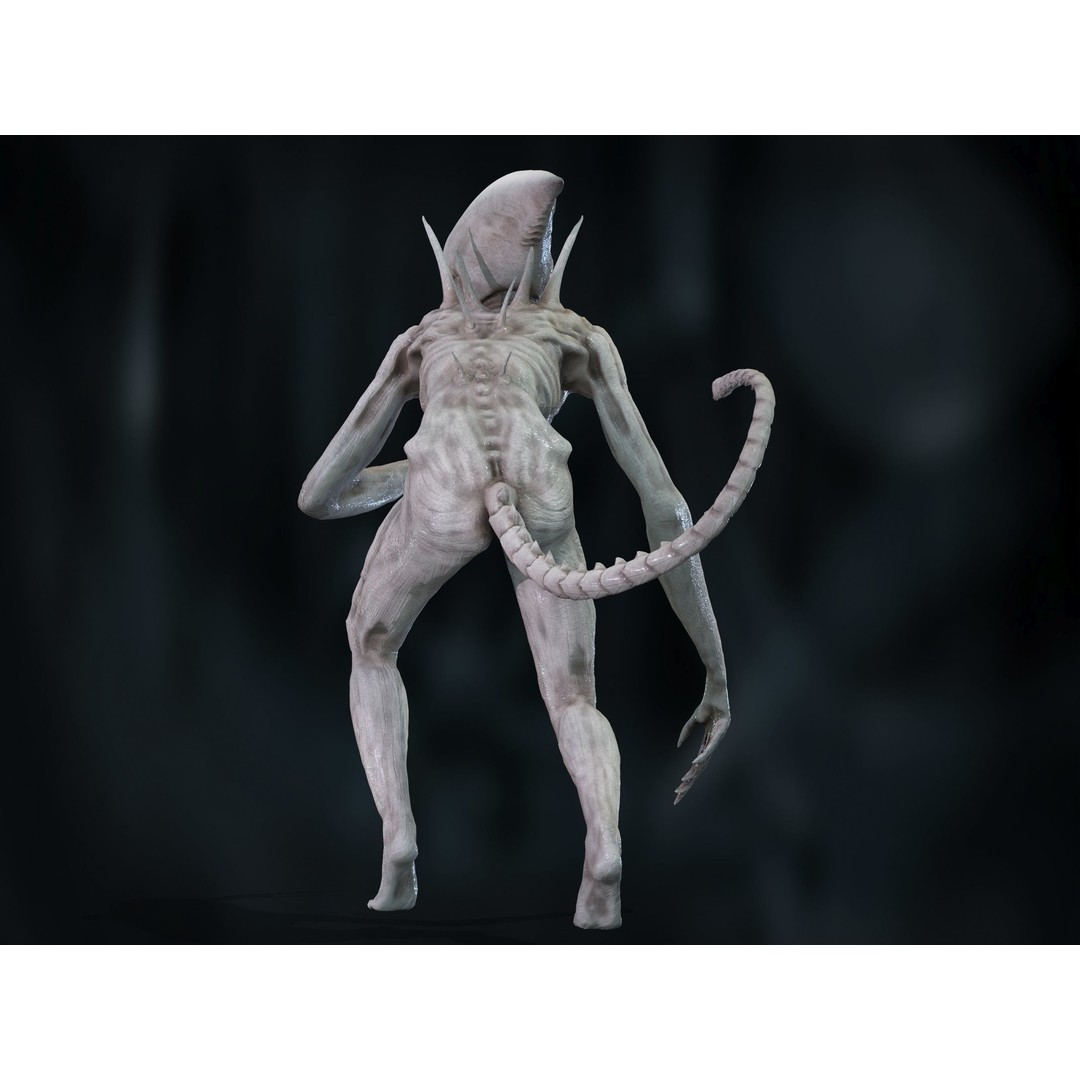 Neomorph 3D Model – Low Poly Rigged Character with PBR Textures - View 25
