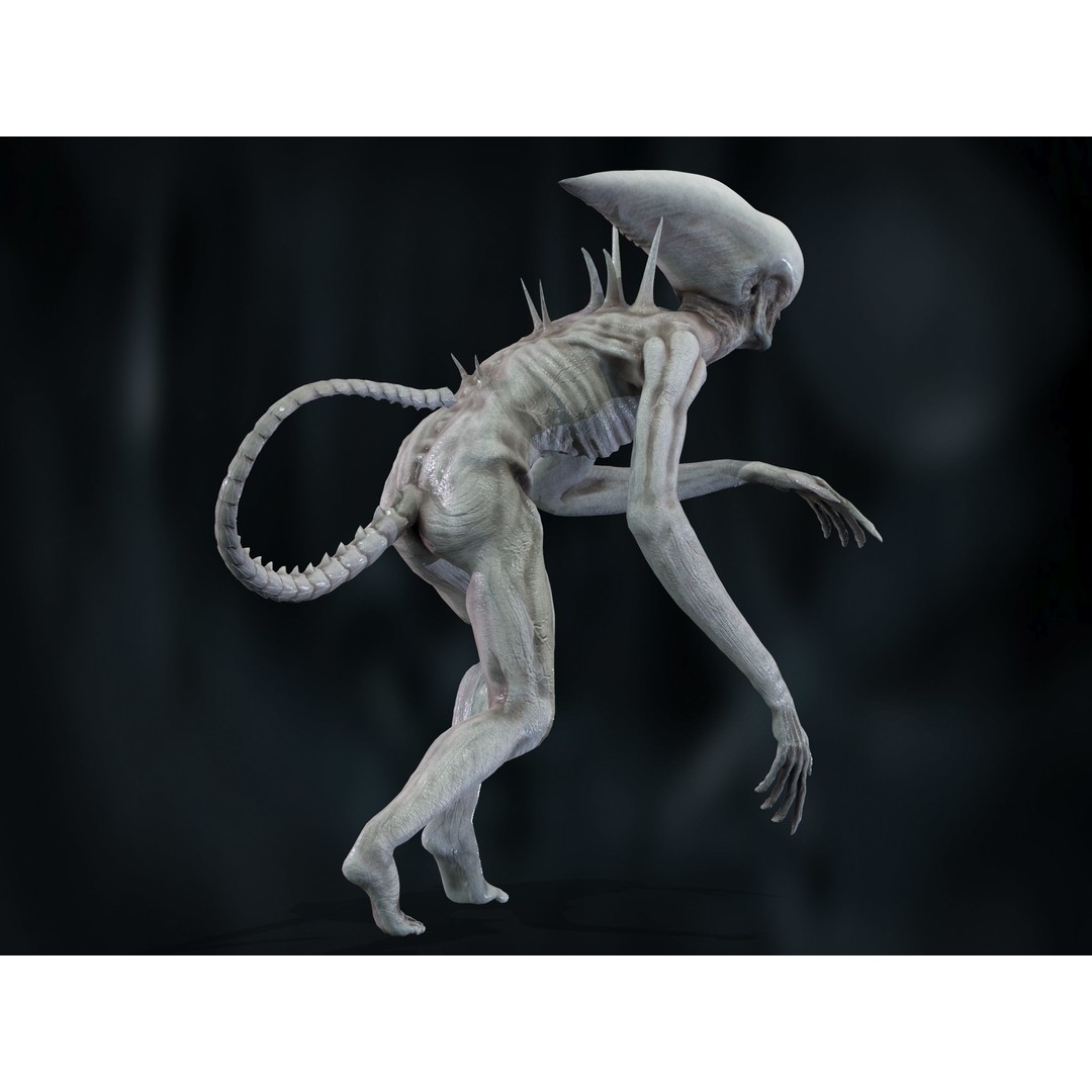 Neomorph 3D Model – Low Poly Rigged Character with PBR Textures - View 26