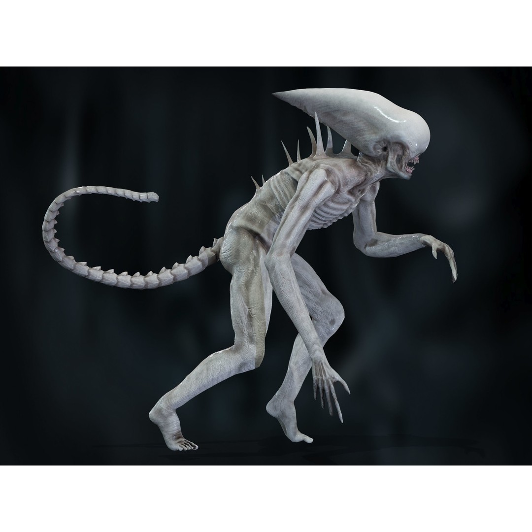 Neomorph 3D Model – Low Poly Rigged Character with PBR Textures - View 27