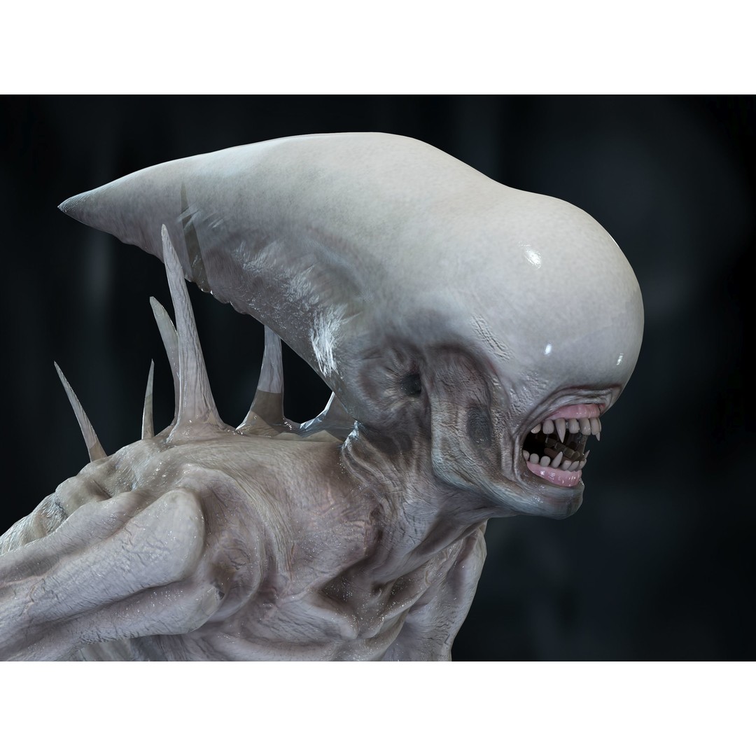 Neomorph 3D Model – Low Poly Rigged Character with PBR Textures - View 3