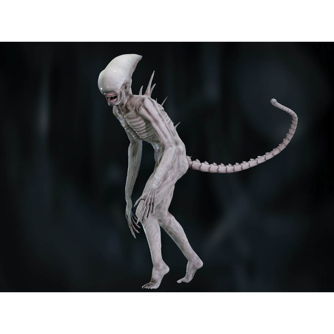Neomorph 3D Model – Low Poly Rigged Character with PBR Textures - View 4