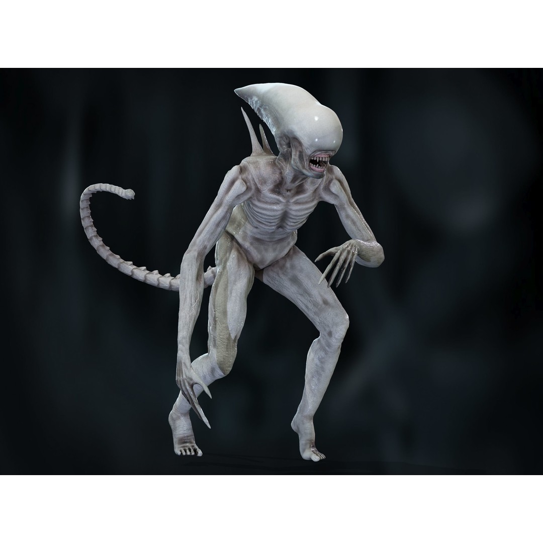 Neomorph 3D Model – Low Poly Rigged Character with PBR Textures - View 5