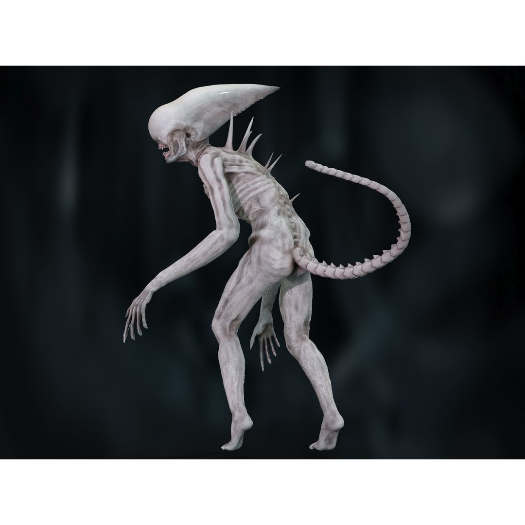 Neomorph 3D Model – Low Poly Rigged Character with PBR Textures - View 6