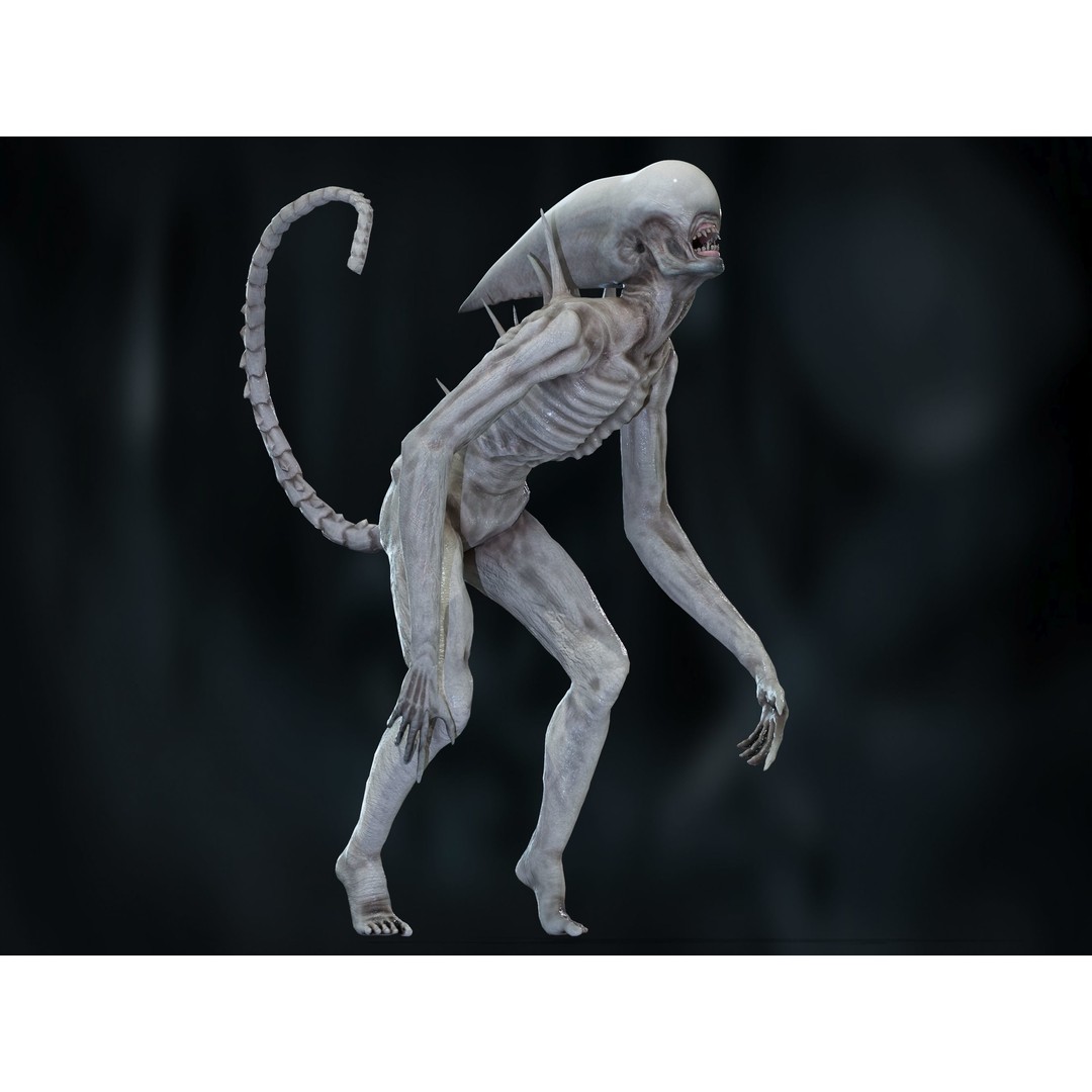 Neomorph 3D Model – Low Poly Rigged Character with PBR Textures - View 7