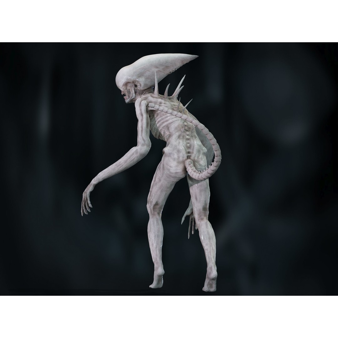 Neomorph 3D Model – Low Poly Rigged Character with PBR Textures - View 8