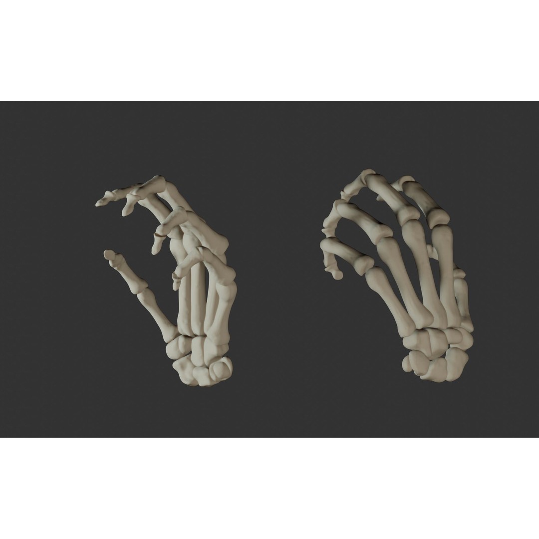Human Hand Bones 3D Model – Anatomically Correct Rigged Asset, FBX - View 20