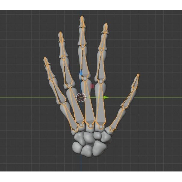 Human Hand Bones 3D Model – Anatomically Correct Rigged Asset, FBX - View 26