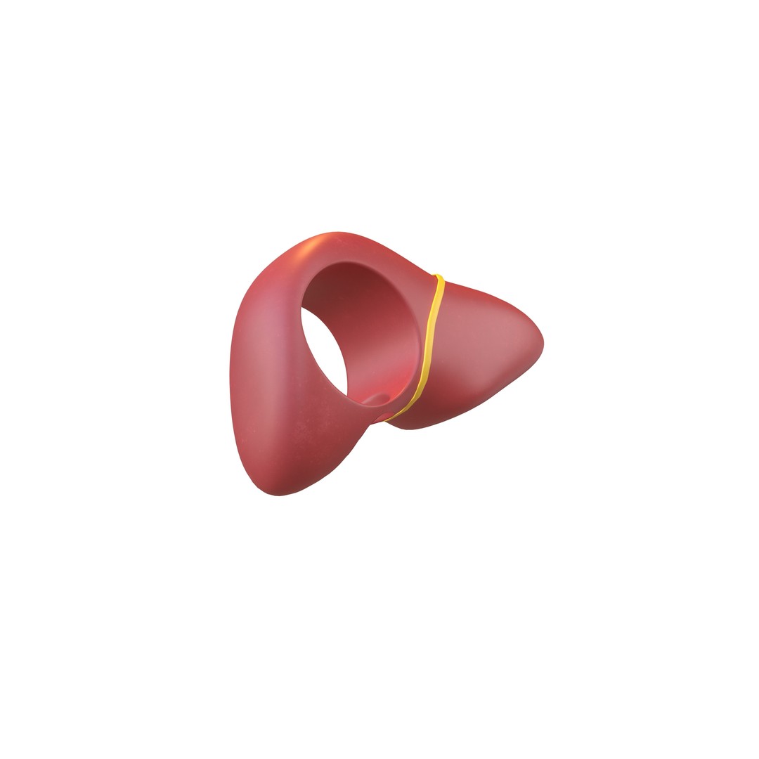 Cartoon Liver Costume Hat 3D Model – Low Poly PBR Asset, FBX, OBJ - View 4