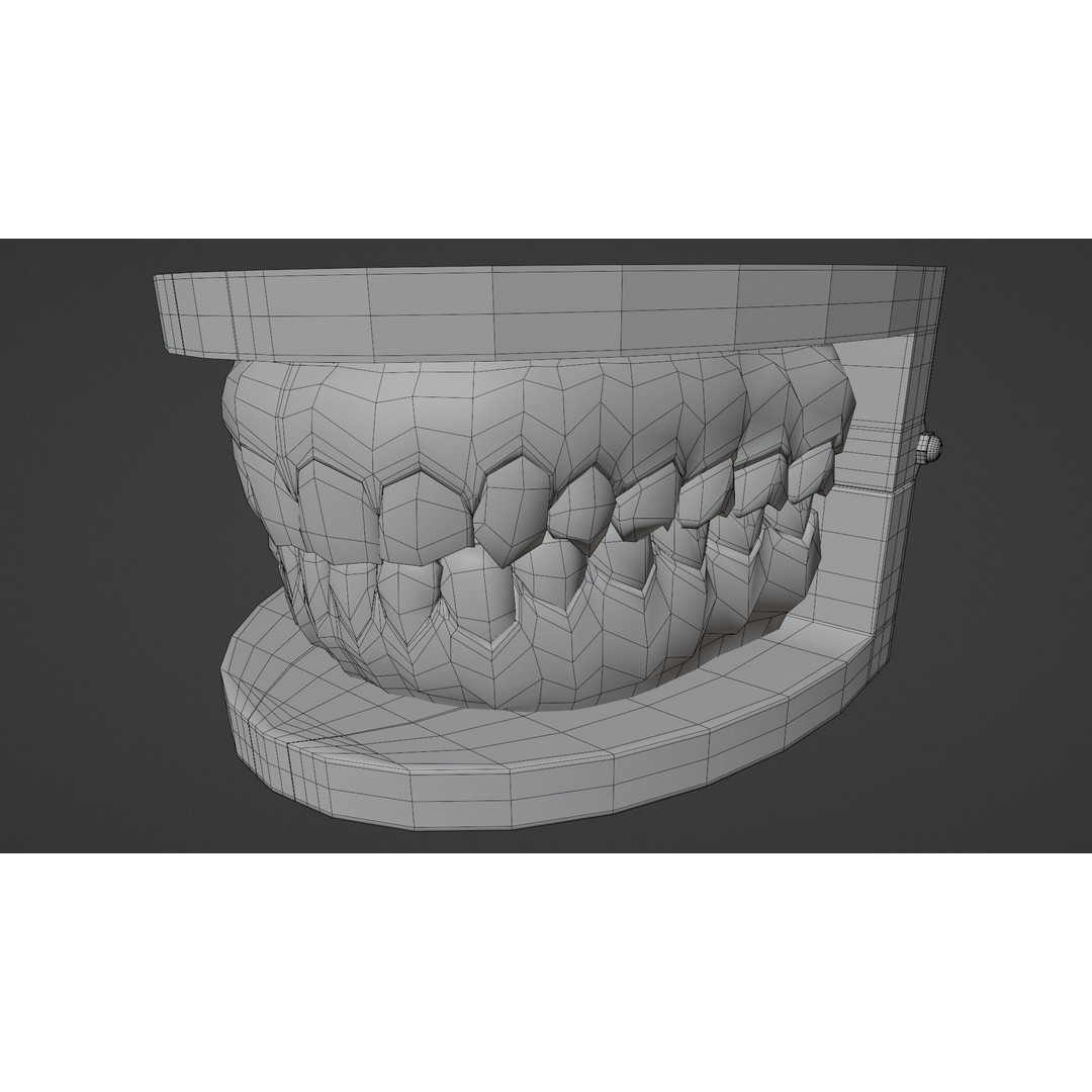 Dental Typodont Teeth 3D Model – Realistic Dental Asset, FBX, OBJ - View 13